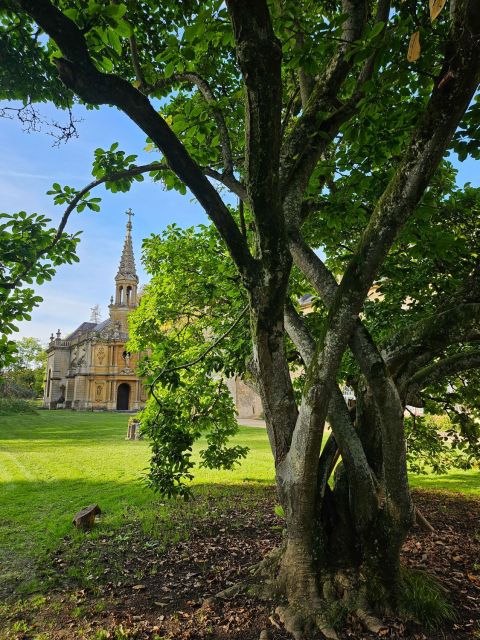 Château de Preisch - Moselle Trois Frontières - Magnolia tronc