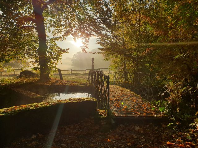 Château de Preisch - Moselle Trois Frontières - Pont douve Saint Nicolas automne