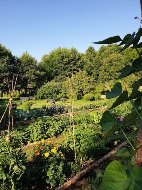 Château de Preisch - Moselle Trois Frontières - Potager été