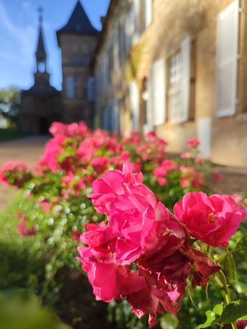 Château de Preisch - Moselle Trois Frontières - Rosiers 